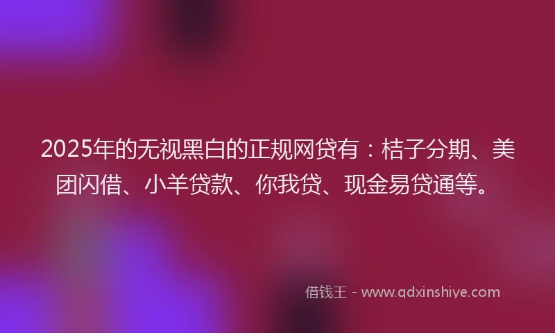 2025年的无视黑白的正规网贷有：桔子分期、美团闪借、小羊贷款、你我贷、现金易贷通等。