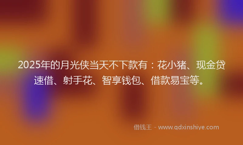 2025年的月光侠当天不下款有：花小猪、现金贷速借、射手花、智享钱包、借款易宝等。