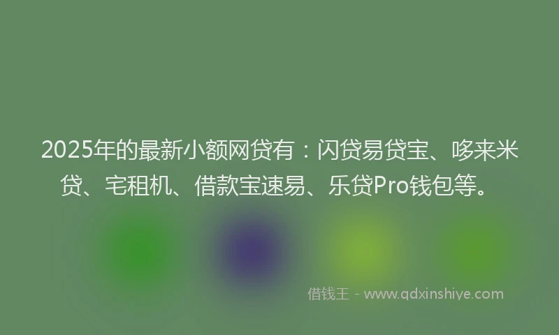 2025年的最新小额网贷有：闪贷易贷宝、哆来米贷、宅租机、借款宝速易、乐贷Pro钱包等。