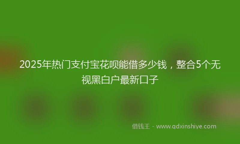 2025年热门支付宝花呗能借多少钱，整合5个无视黑白户最新口子
