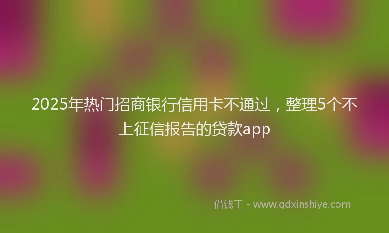 2025年热门招商银行信用卡不通过，整理5个不上征信报告的贷款app
