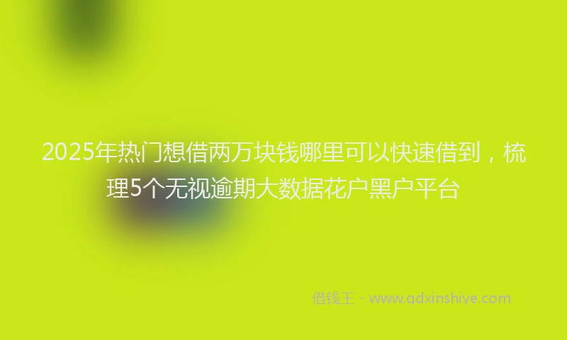 2025年热门想借两万块钱哪里可以快速借到，梳理5个无视逾期大数据花户黑户平台