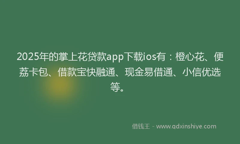 2025年的掌上花贷款app下载ios有：橙心花、便荔卡包、借款宝快融通、现金易借通、小信优选等。