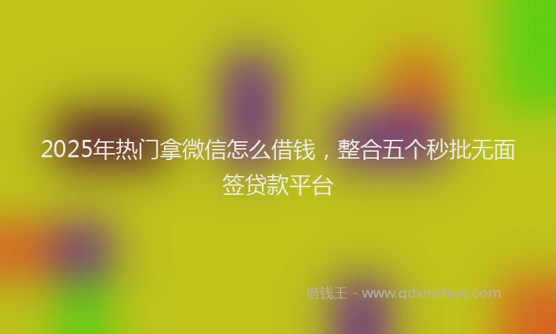 2025年热门拿微信怎么借钱，整合五个秒批无面签贷款平台