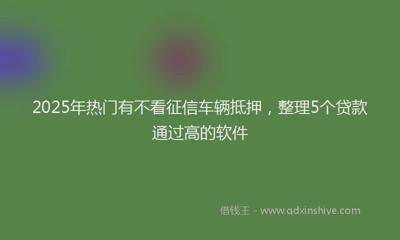 2025年热门有不看征信车辆抵押，整理5个贷款通过高的软件