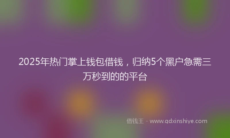 2025年热门掌上钱包借钱，归纳5个黑户急需三万秒到的的平台
