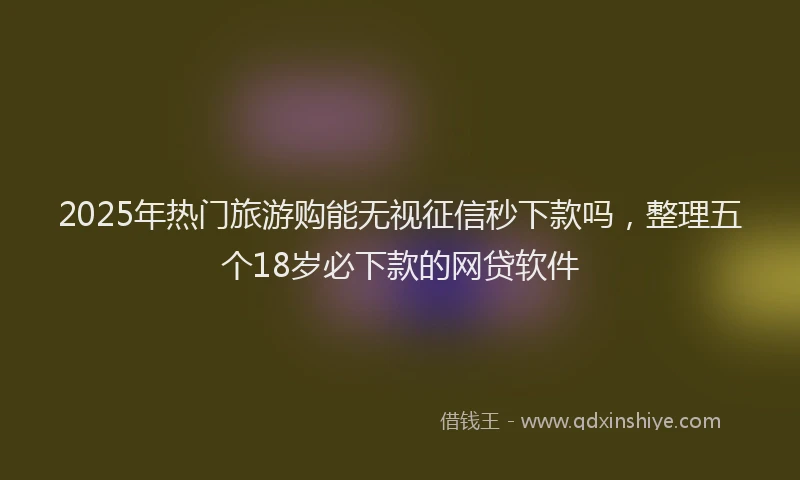 2025年热门旅游购能无视征信秒下款吗，整理五个18岁必下款的网贷软件