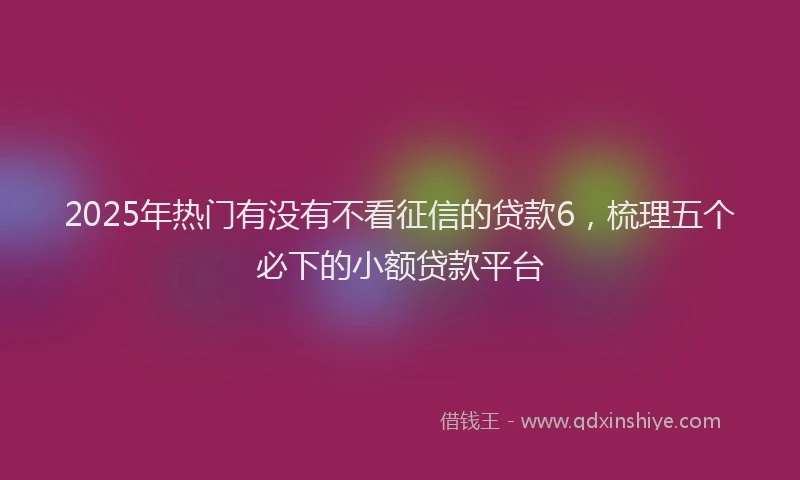 2025年热门有没有不看征信的贷款6，梳理五个必下的小额贷款平台