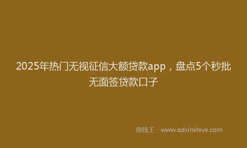 2025年热门无视征信大额贷款app，盘点5个秒批无面签贷款口子