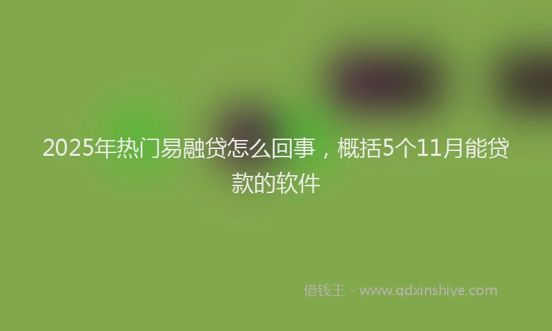 2025年热门易融贷怎么回事，概括5个11月能贷款的软件