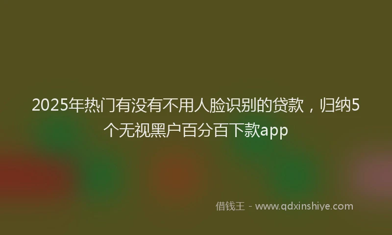 2025年热门有没有不用人脸识别的贷款，归纳5个无视黑户百分百下款app
