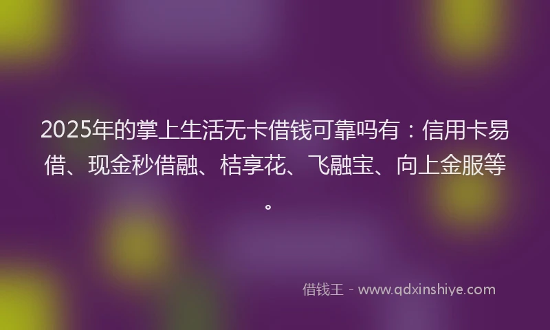 2025年的掌上生活无卡借钱可靠吗有：信用卡易借、现金秒借融、桔享花、飞融宝、向上金服等。