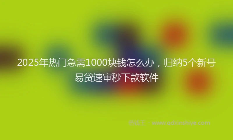 2025年热门急需1000块钱怎么办，归纳5个新号易贷速审秒下款软件