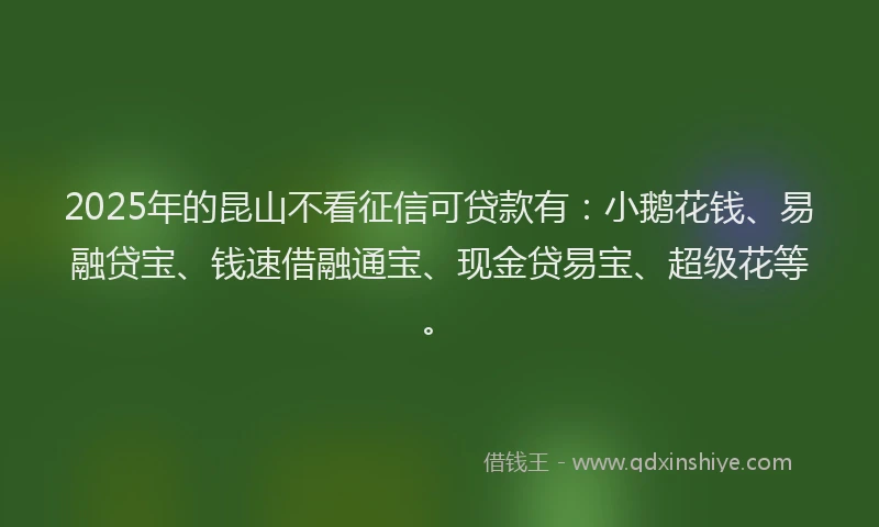 2025年的昆山不看征信可贷款有：小鹅花钱、易融贷宝、钱速借融通宝、现金贷易宝、超级花等。