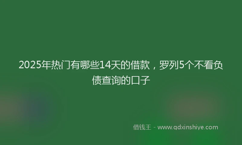 2025年热门有哪些14天的借款，罗列5个不看负债查询的口子