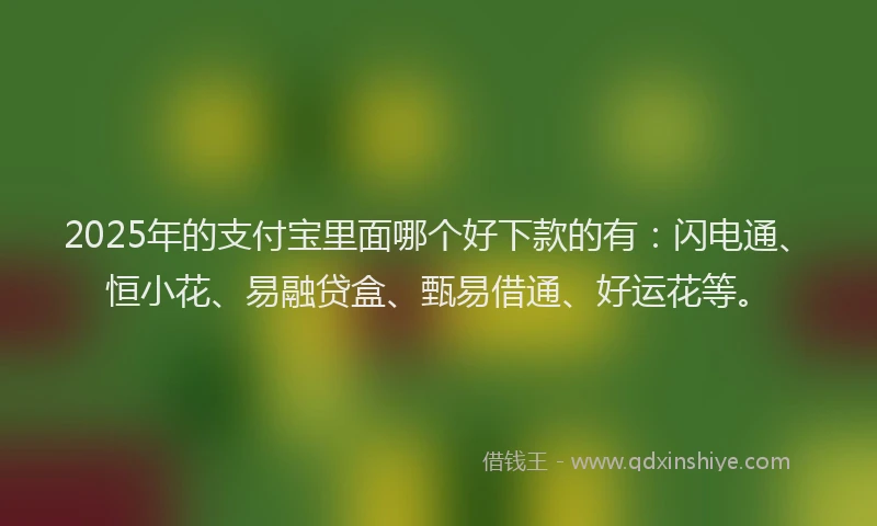 2025年的支付宝里面哪个好下款的有：闪电通、恒小花、易融贷盒、甄易借通、好运花等。