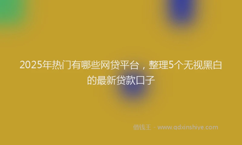 2025年热门有哪些网贷平台，整理5个无视黑白的最新贷款口子