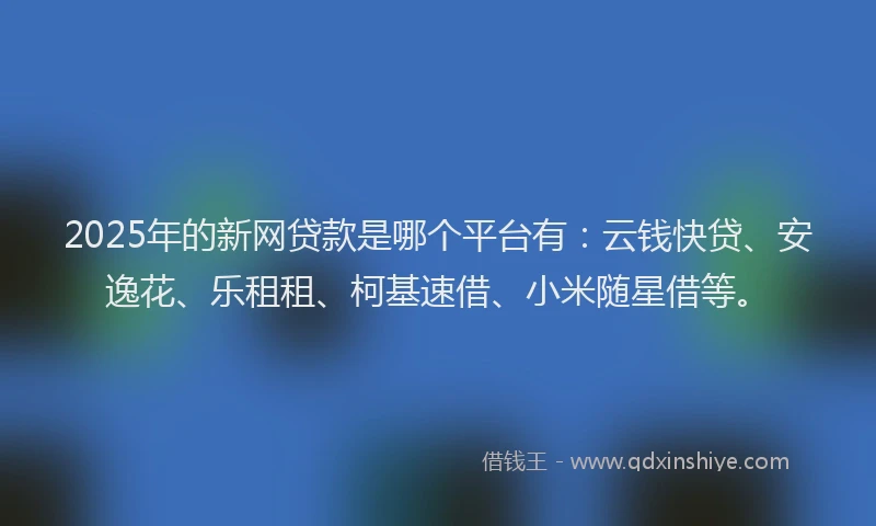 2025年的新网贷款是哪个平台有：云钱快贷、安逸花、乐租租、柯基速借、小米随星借等。