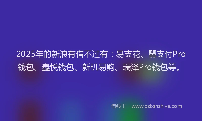 2025年的新浪有借不过有：易支花、翼支付Pro钱包、鑫悦钱包、新机易购、瑞泽Pro钱包等。