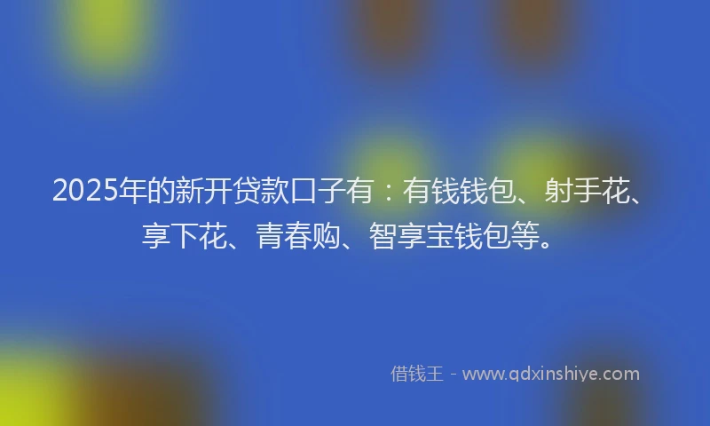 2025年的新开贷款口子有：有钱钱包、射手花、享下花、青春购、智享宝钱包等。