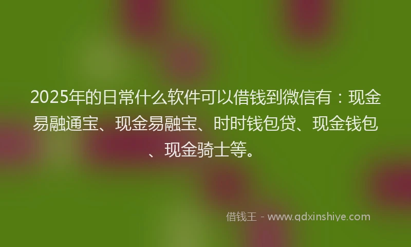 2025年的日常什么软件可以借钱到微信有：现金易融通宝、现金易融宝、时时钱包贷、现金钱包、现金骑士等。