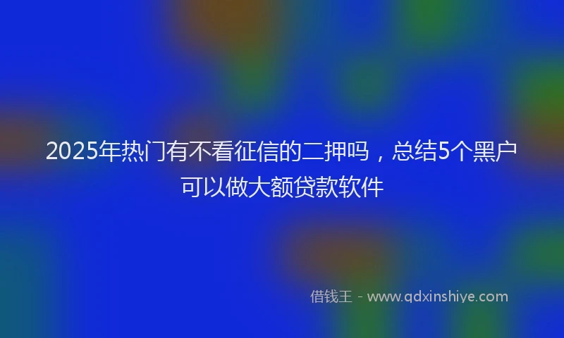 2025年热门有不看征信的二押吗，总结5个黑户可以做大额贷款软件