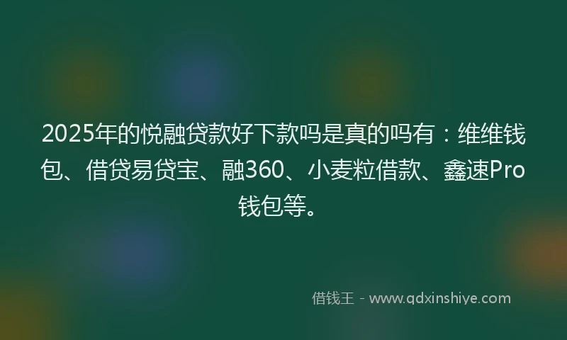 2025年的悦融贷款好下款吗是真的吗有：维维钱包、借贷易贷宝、融360、小麦粒借款、鑫速Pro钱包等。