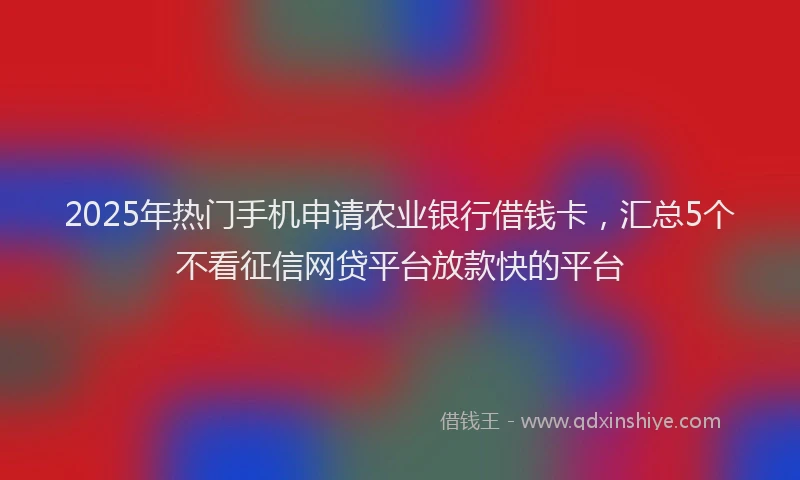 2025年热门手机申请农业银行借钱卡，汇总5个不看征信网贷平台放款快的平台