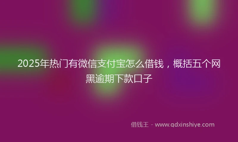 2025年热门有微信支付宝怎么借钱，概括五个网黑逾期下款口子