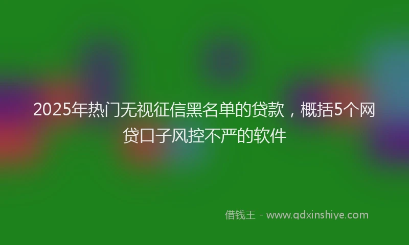 2025年热门无视征信黑名单的贷款，概括5个网贷口子风控不严的软件