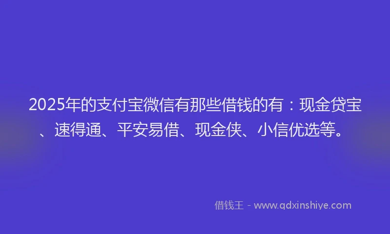 2025年的支付宝微信有那些借钱的有：现金贷宝、速得通、平安易借、现金侠、小信优选等。