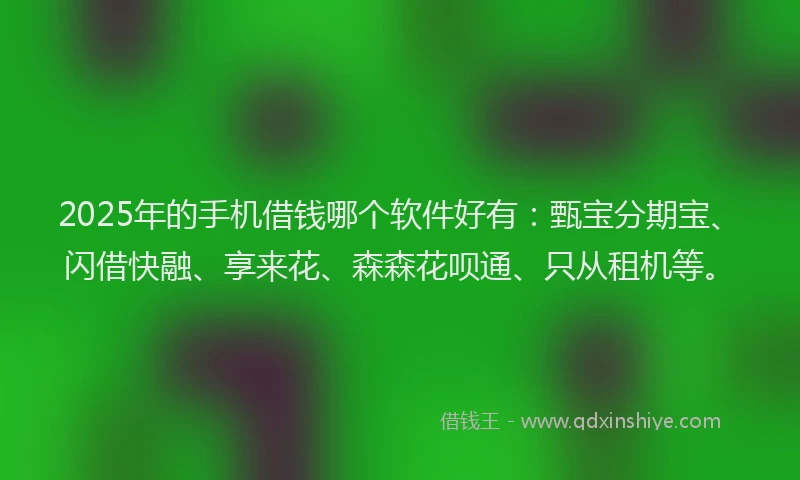 2025年的手机借钱哪个软件好有：甄宝分期宝、闪借快融、享来花、森森花呗通、只从租机等。
