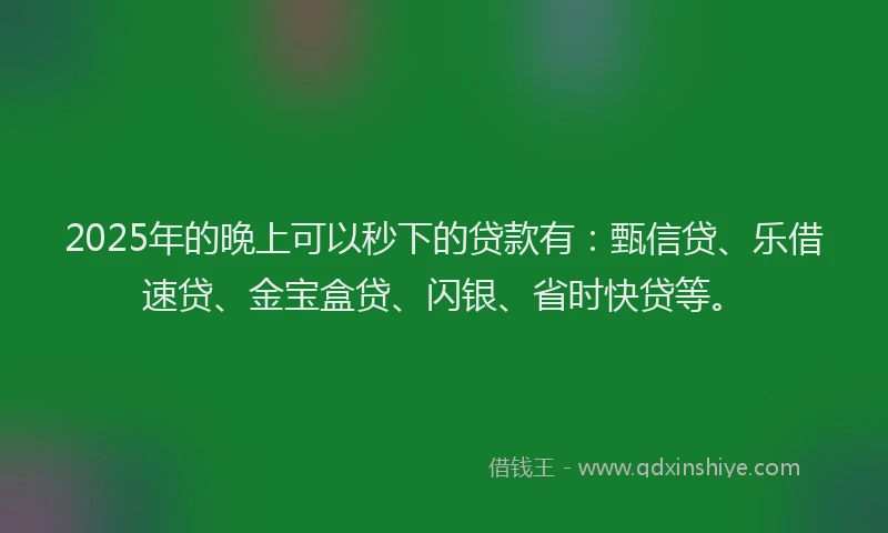 2025年的晚上可以秒下的贷款有：甄信贷、乐借速贷、金宝盒贷、闪银、省时快贷等。
