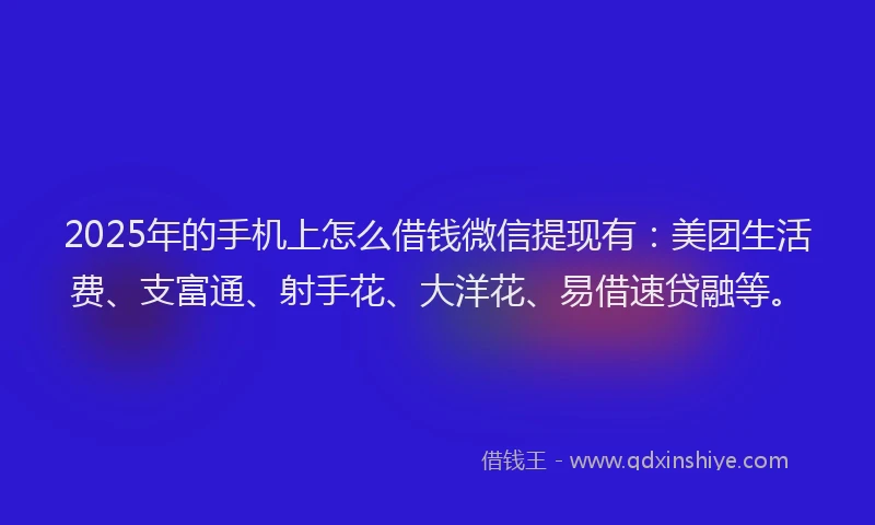 2025年的手机上怎么借钱微信提现有：美团生活费、支富通、射手花、大洋花、易借速贷融等。