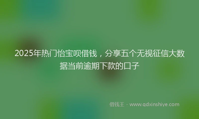 2025年热门怡宝呗借钱，分享五个无视征信大数据当前逾期下款的口子