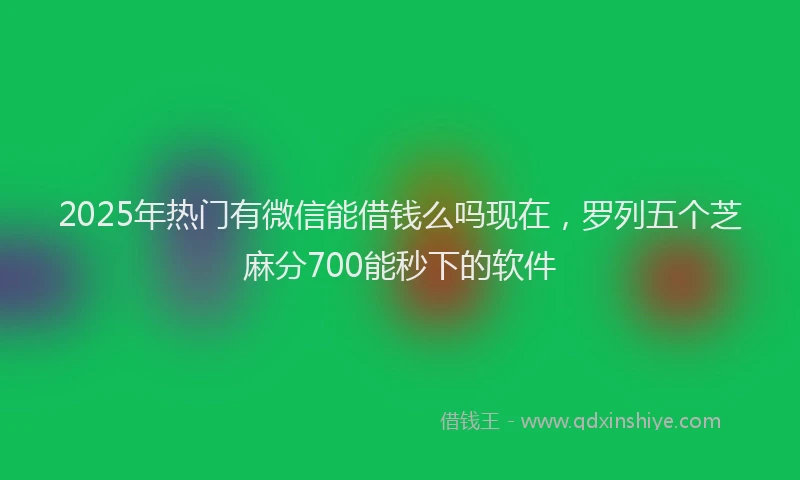 2025年热门有微信能借钱么吗现在，罗列五个芝麻分700能秒下的软件