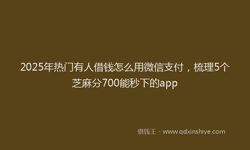 2025年热门有人借钱怎么用微信支付，梳理5个芝麻分700能秒下的app