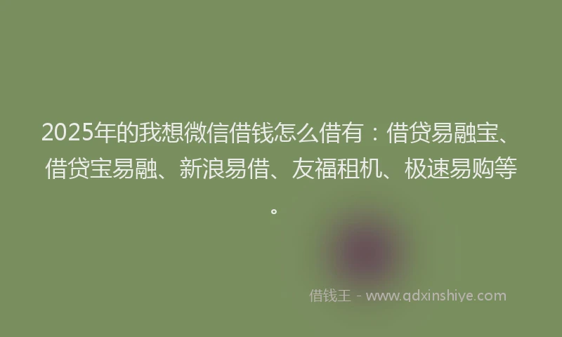2025年的我想微信借钱怎么借有：借贷易融宝、借贷宝易融、新浪易借、友福租机、极速易购等。