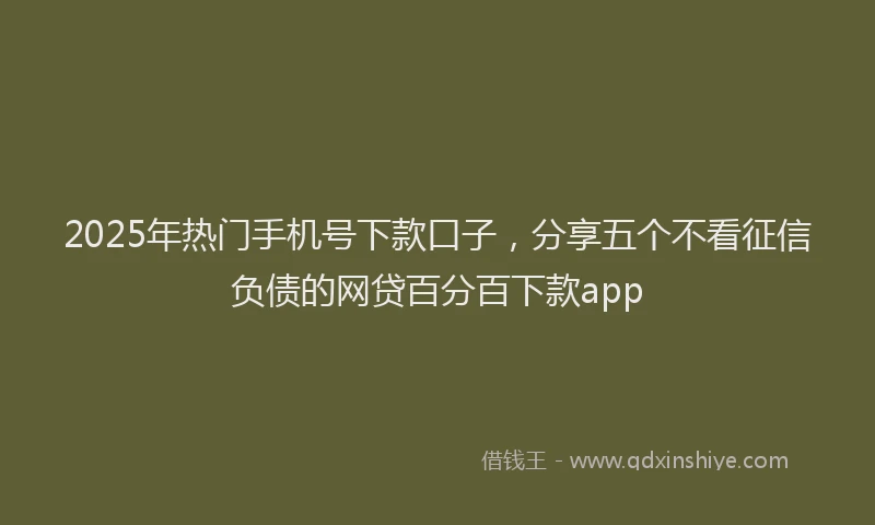 2025年热门手机号下款口子，分享五个不看征信负债的网贷百分百下款app