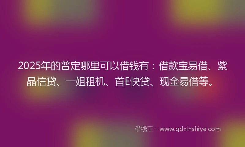 2025年的普定哪里可以借钱有：借款宝易借、紫晶信贷、一姐租机、首E快贷、现金易借等。