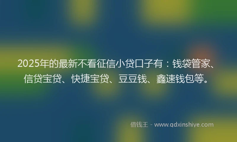 2025年的最新不看征信小贷口子有：钱袋管家、信贷宝贷、快捷宝贷、豆豆钱、鑫速钱包等。