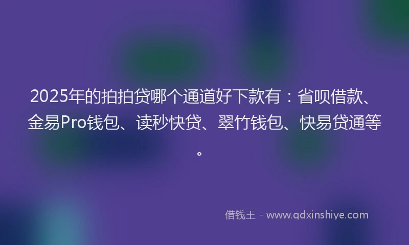 2025年的拍拍贷哪个通道好下款有：省呗借款、金易Pro钱包、读秒快贷、翠竹钱包、快易贷通等。