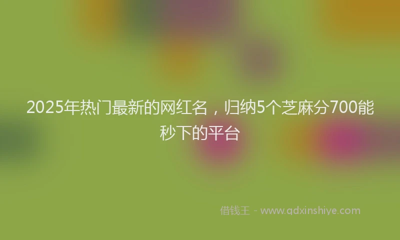 2025年热门最新的网红名，归纳5个芝麻分700能秒下的平台