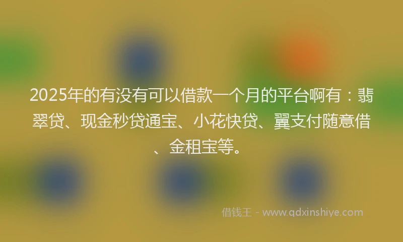 2025年的有没有可以借款一个月的平台啊有：翡翠贷、现金秒贷通宝、小花快贷、翼支付随意借、金租宝等。