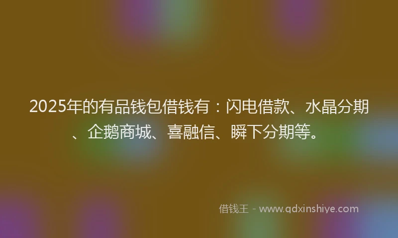 2025年的有品钱包借钱有：闪电借款、水晶分期、企鹅商城、喜融信、瞬下分期等。