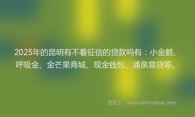 2025年的昆明有不看征信的贷款吗有：小金鹤、呼吸金、金芒果商城、现金钱包、涌泉易贷等。