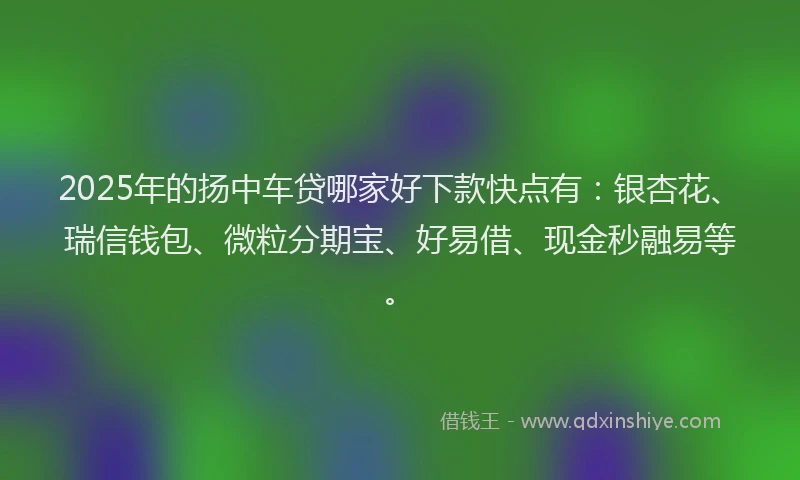 2025年的扬中车贷哪家好下款快点有：银杏花、瑞信钱包、微粒分期宝、好易借、现金秒融易等。