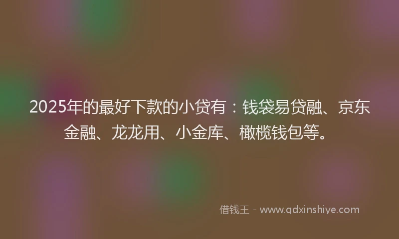 2025年的最好下款的小贷有：钱袋易贷融、京东金融、龙龙用、小金库、橄榄钱包等。