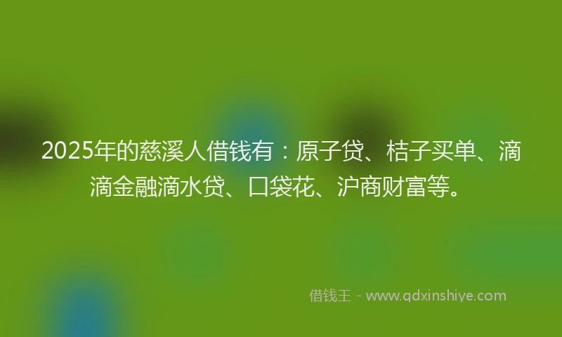 2025年的慈溪人借钱有：原子贷、桔子买单、滴滴金融滴水贷、口袋花、沪商财富等。