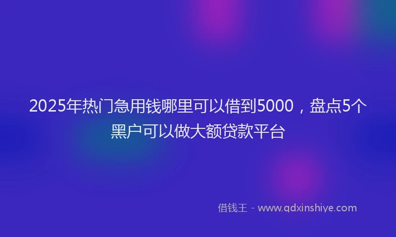 2025年热门急用钱哪里可以借到5000，盘点5个黑户可以做大额贷款平台